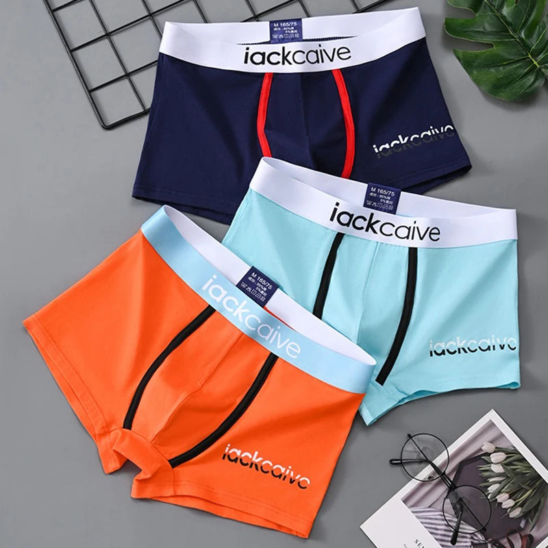 The ComfyBox 3-Pack