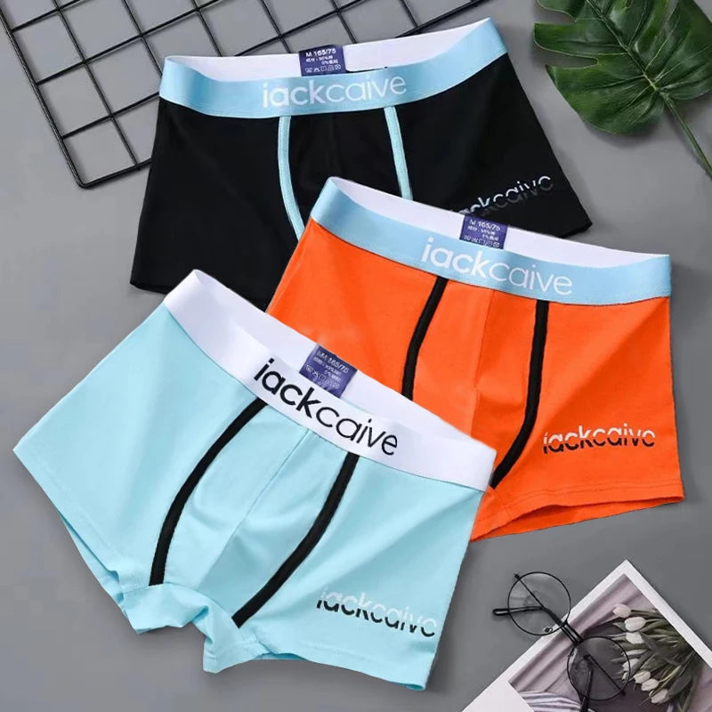 The ComfyBox 3-Pack